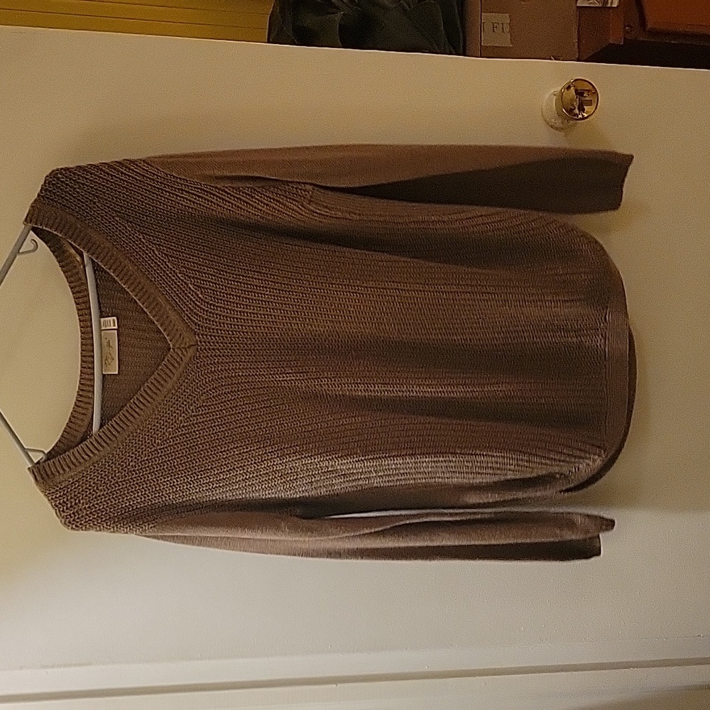 Vneck brown sweater